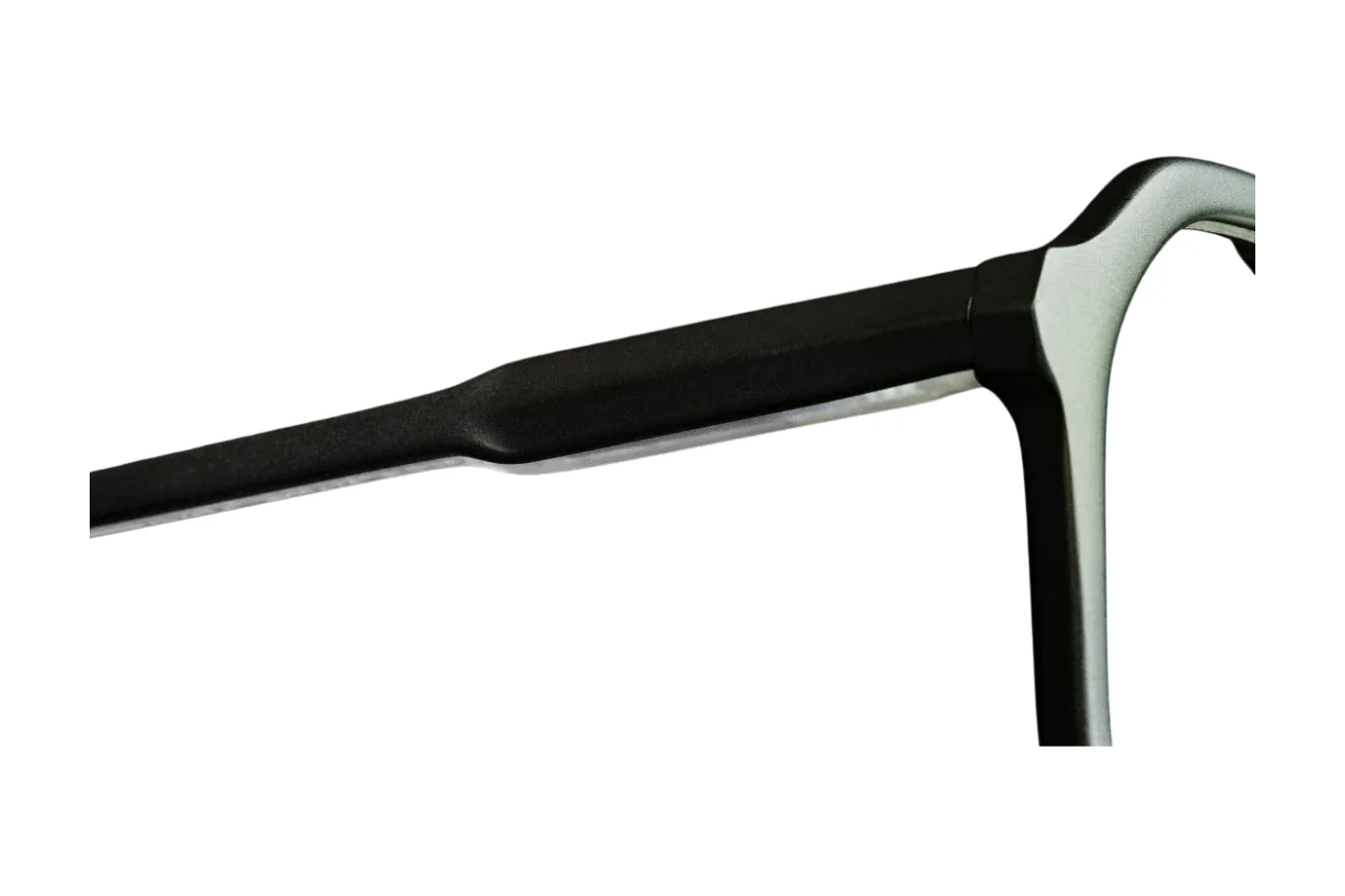 Discotiger - Image 5